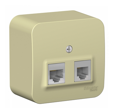 Schneider Electric  BLANCA  Бежевый Розетка 2-местная: компьютернаяRJ45, категория 5E + телефонная RJ11, изолирующая пластина, открытая установка BLNIA045117